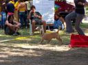 Nombre de foto=sziget_073.JPG
Tamaño de foto=247KiB
Dimensiones=902x676
Fecha añadida=Septiembre 25, 12 sziget_073.JPG