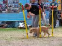 Nombre de foto=sziget_074.JPG
Tamaño de foto=269KiB
Dimensiones=902x676
Fecha añadida=Septiembre 25, 12 sziget_074.JPG