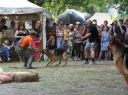 Nombre de foto=sziget_079.JPG
Tamaño de foto=245KiB
Dimensiones=902x676
Fecha añadida=Septiembre 25, 12 sziget_079.JPG