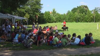 A teljes méretű képhez kattints ide