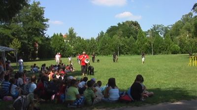 Premi per vedere l'immagine alla massima grandezza