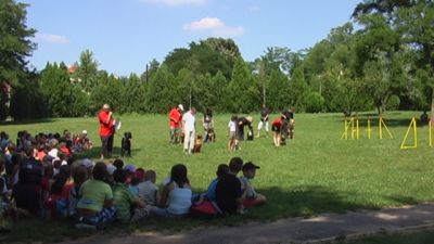 A teljes méretű képhez kattints ide