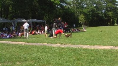 Kliknite da vidite sliku u punoj veličini