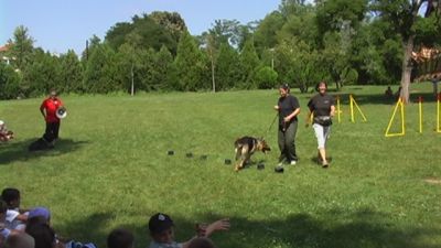 クリックでフルサイズのイメージを表示する