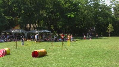 Kliknite da vidite sliku u punoj veličini