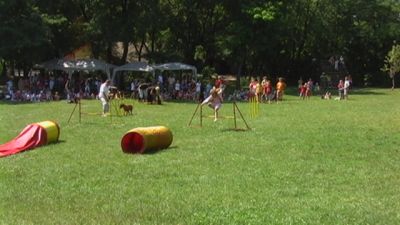 Klikni za ogled večje slike