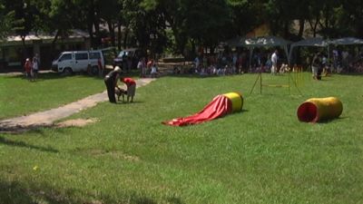 Klikkaa kuvaa nähdäksesi se täysikokoisena