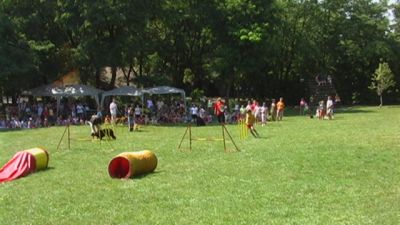 Kliknite da vidite sliku u punoj veličini