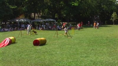 Premi per vedere l'immagine alla massima grandezza