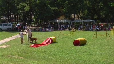 Κάντε κλικ για να δείτε την εικόνα σε πλήρες μέγεθος