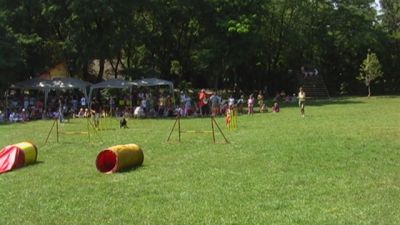 Kliknite da vidite sliku u punoj veličini