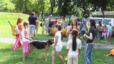 A teljes méretű képhez kattints ide