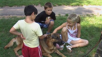 A teljes méretű képhez kattints ide