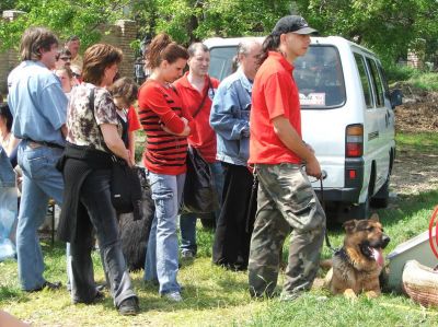 Kliknite da vidite sliku u punoj veličini