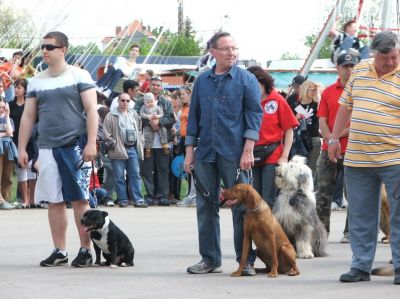 A teljes méretű képhez kattints ide