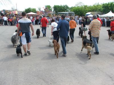 A teljes méretű képhez kattints ide