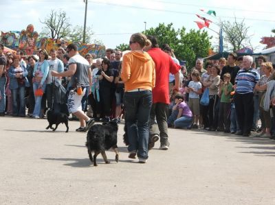 A teljes méretű képhez kattints ide