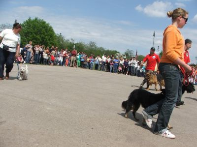 A teljes méretű képhez kattints ide