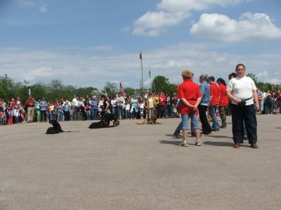 A teljes méretű képhez kattints ide