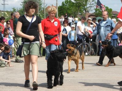 Klikkaa kuvaa nähdäksesi se täysikokoisena