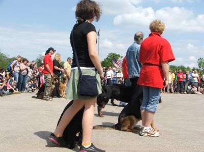 A teljes méretű képhez kattints ide