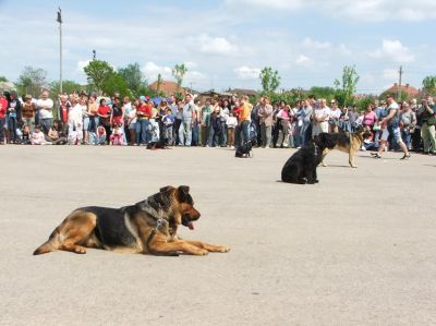 A teljes méretű képhez kattints ide