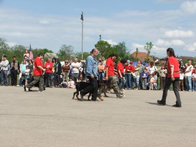 Klõpsa pildi vaatamiseks täissuuruses