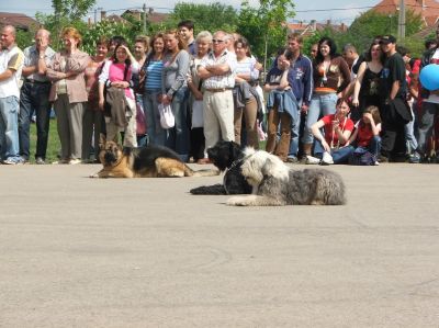 Kliknite da vidite sliku u punoj veličini