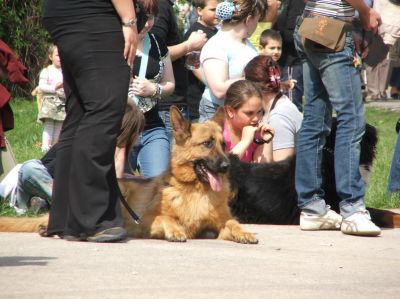 A teljes méretű képhez kattints ide