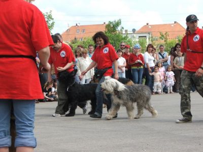 A teljes méretű képhez kattints ide