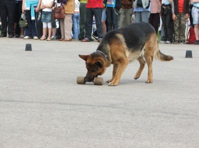 Натиснете за да видите снимката уголемена