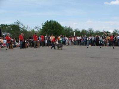 Klikněte pro zobrazení původního (velkého) obrázku