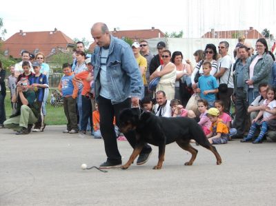 Klikkaa kuvaa nähdäksesi se täysikokoisena