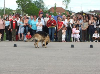 A teljes méretű képhez kattints ide