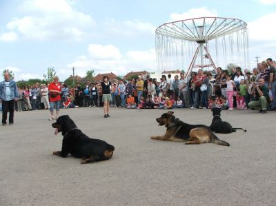 A teljes méretű képhez kattints ide