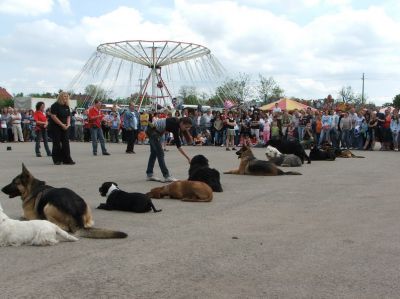 A teljes méretű képhez kattints ide