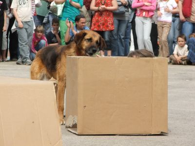 A teljes méretű képhez kattints ide