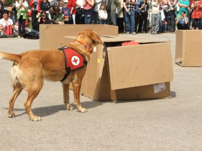 Klikkaa kuvaa nähdäksesi se täysikokoisena