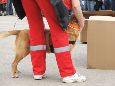 Klõpsa pildi vaatamiseks täissuuruses