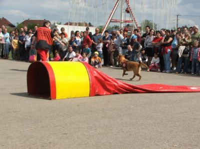 Натисніть, щоб побачити повний розмір