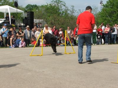 Kliknite da vidite sliku u punoj veličini