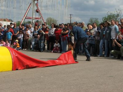 Pulsa para ver la imagen a tamaño completo