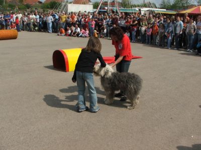 A teljes méretű képhez kattints ide