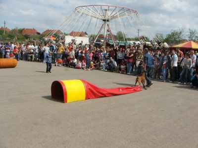 Klikni za ogled večje slike