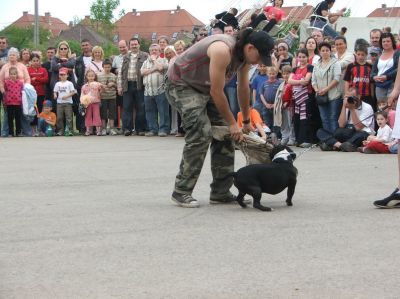 A teljes méretű képhez kattints ide