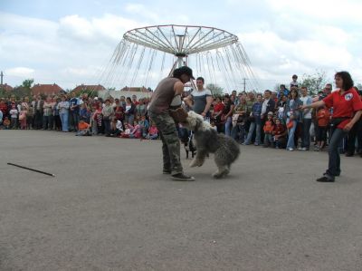 Натисніть, щоб побачити повний розмір