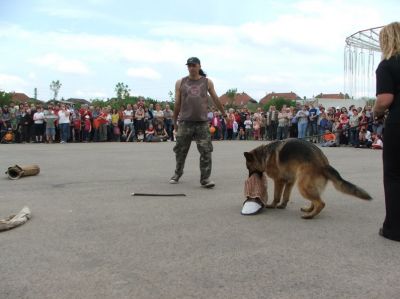 Натиснете за да видите снимката уголемена