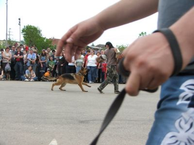 Натиснете за да видите снимката уголемена