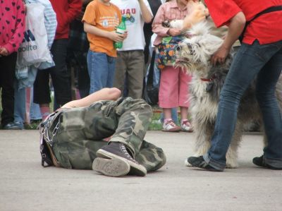 A teljes méretű képhez kattints ide