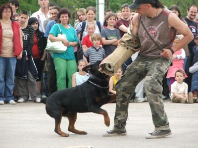 Hei klicken fir d'Bild an voller Gréisst ze gesinn